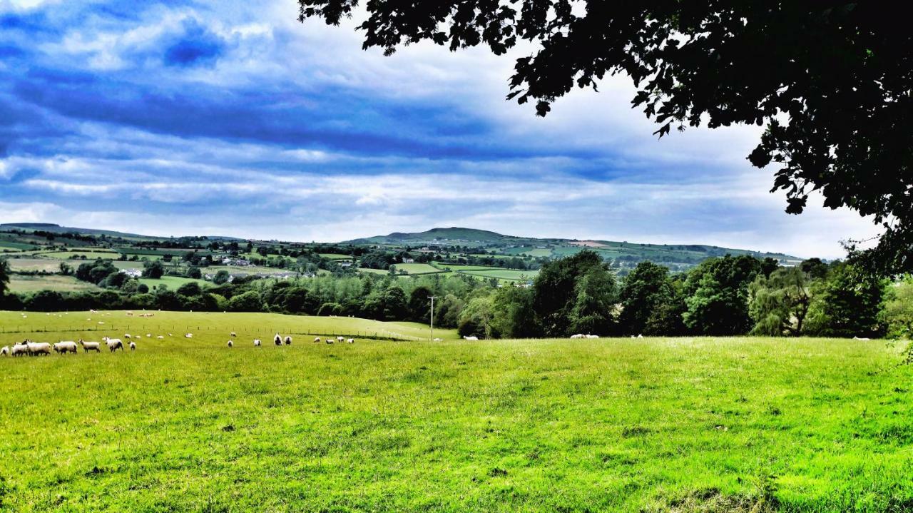 Elagh View Bed & Breakfast Londonderry Eksteriør bilde